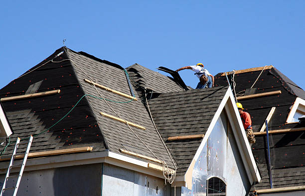 Best Metal Roofing Contractor  in Victoria, MN