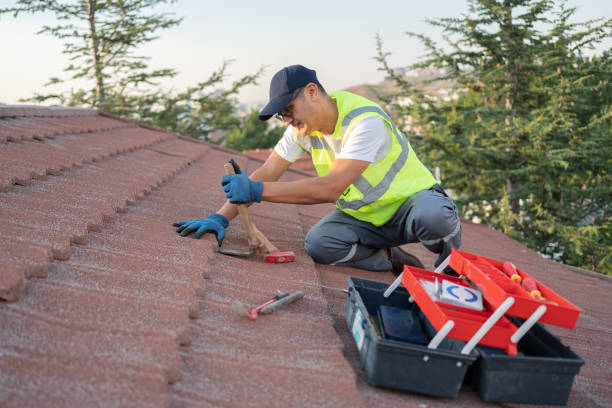 Best Metal Roofing Contractor  in Victoria, MN