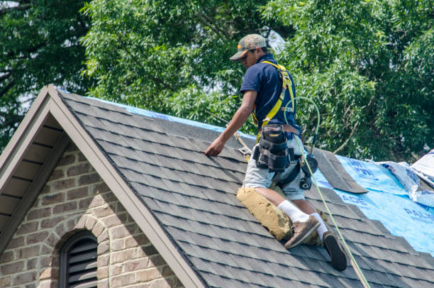 Best Residential Roofing Contractor  in Victoria, MN